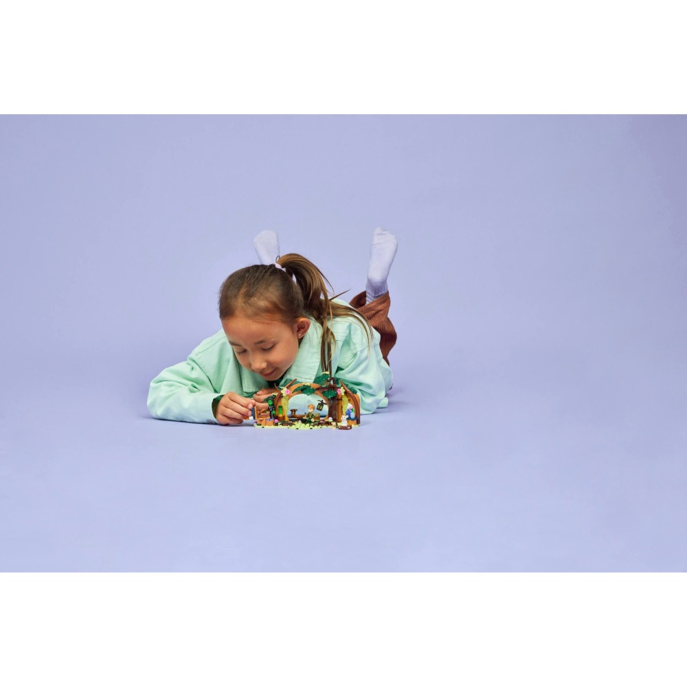 ［想樂］全新 樂高 LEGO 75687 魔法壞女巫 艾法芭的隱居處-細節圖11