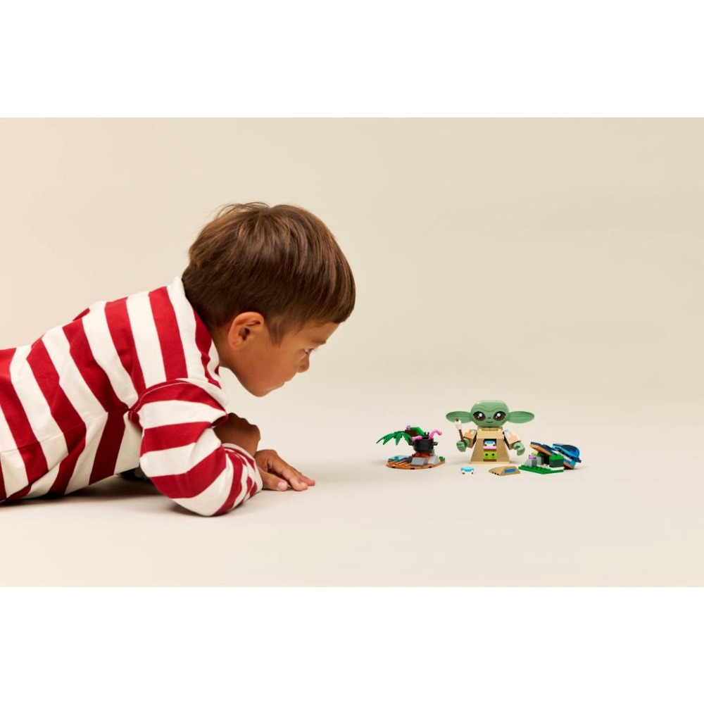 ［想樂］全新 樂高 LEGO 75443 Star Wars 星際大戰 古古的家園-細節圖7