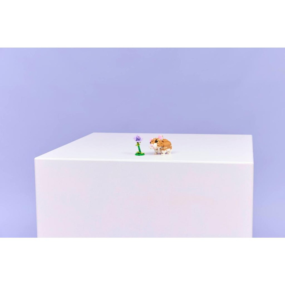 ［想樂］全新 樂高 LEGO 31376 Creator 三合一 可愛倉鼠和花朵-細節圖7