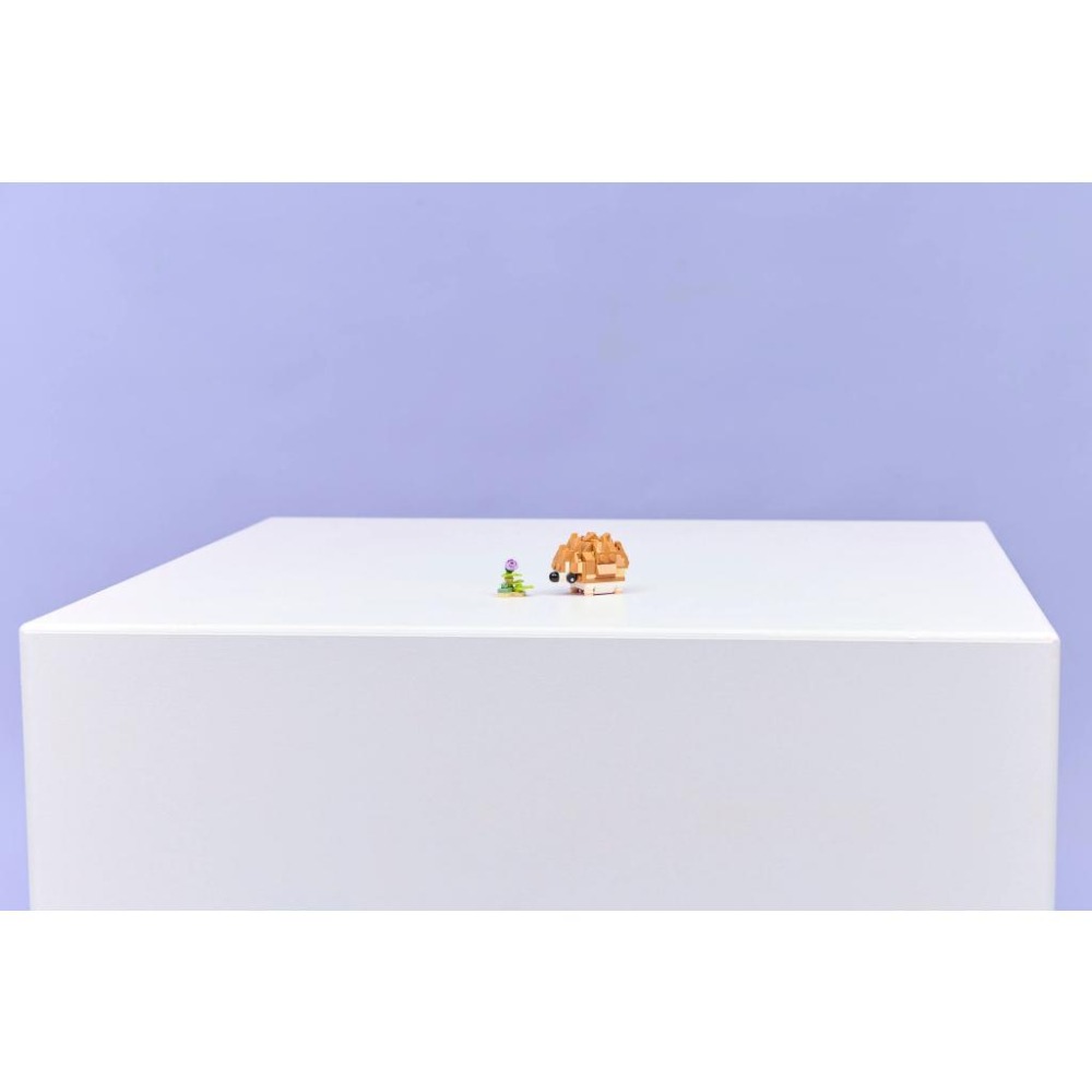 ［想樂］全新 樂高 LEGO 31376 Creator 三合一 可愛倉鼠和花朵-細節圖8