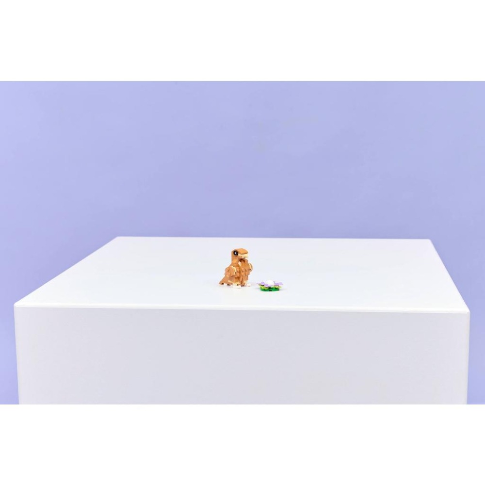 ［想樂］全新 樂高 LEGO 31376 Creator 三合一 可愛倉鼠和花朵-細節圖9