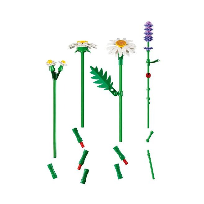 ［想樂］全新 樂高 LEGO 11508 Botanicals 花藝系列 雛菊-細節圖7