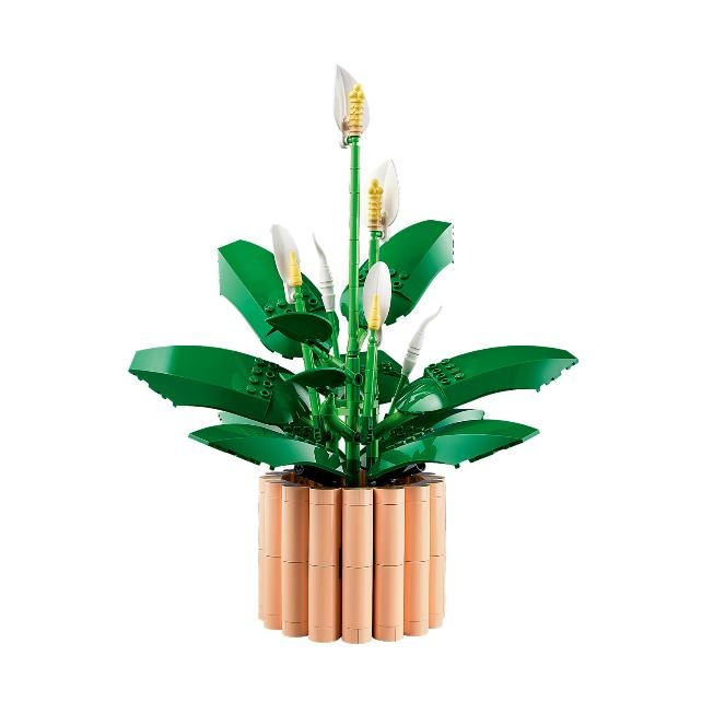 ［想樂］全新 樂高 LEGO 11504 Botanicals 花藝系列 白鶴芋-細節圖5