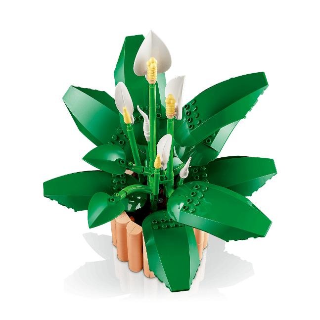 ［想樂］全新 樂高 LEGO 11504 Botanicals 花藝系列 白鶴芋-細節圖6