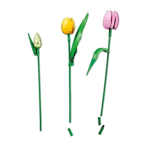 ［想樂］全新 樂高 LEGO 11501 Botanicals 花藝系列 鬱金香花束-細節圖6