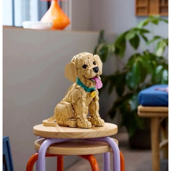 ［想樂］  全新 樂高 LEGO 11384 Icons 小黃金獵犬 Golden Retriever Puppy-細節圖5