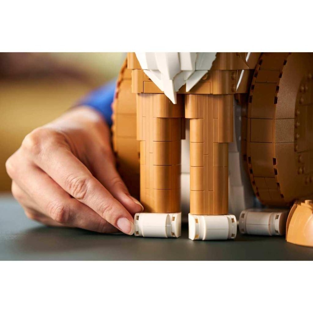 ［想樂］全新 樂高 LEGO 21376 Ideas #73 橘貓-細節圖6