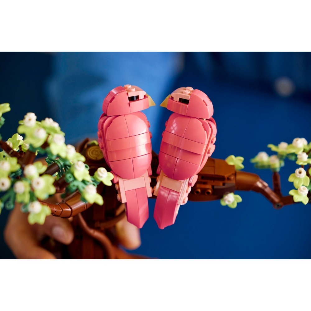 ［想樂］全新 樂高 LEGO 21365 Ideas #72 情侶鸚鵡 愛情鳥 Love Birds-細節圖7