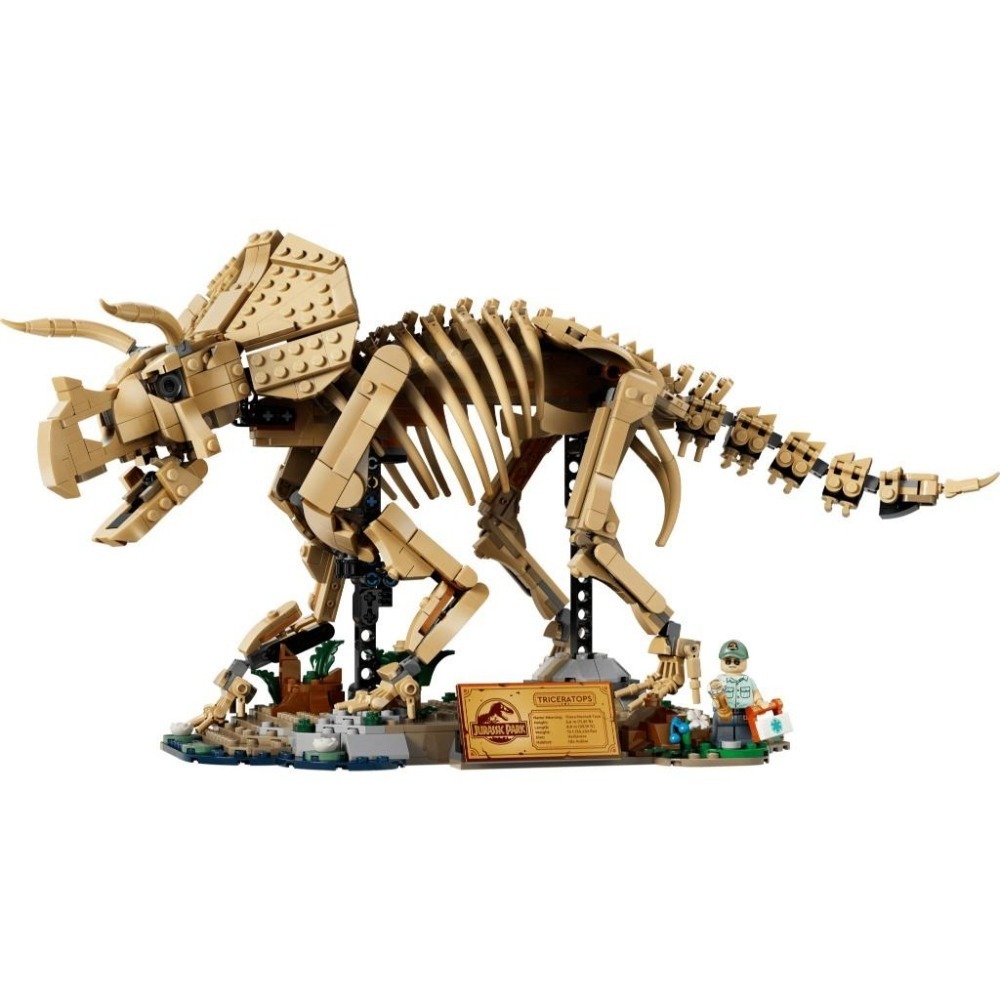 ［想樂］全新 樂高 LEGO 77985 JURASSIC WORLD-恐龍化石：三角龍-細節圖3