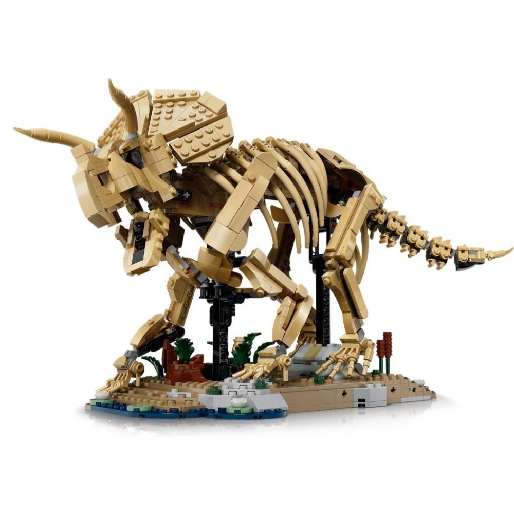 ［想樂］全新 樂高 LEGO 77985 JURASSIC WORLD-恐龍化石：三角龍-細節圖5