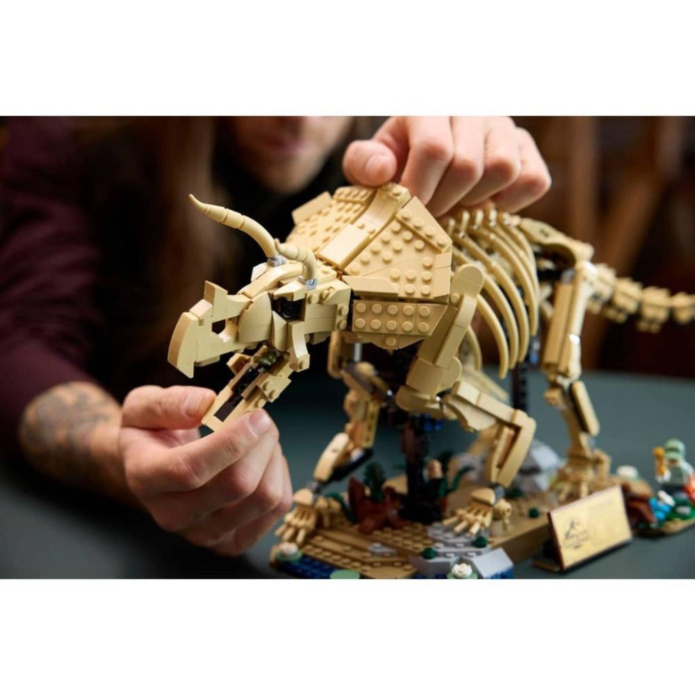 ［想樂］全新 樂高 LEGO 77985 JURASSIC WORLD-恐龍化石：三角龍-細節圖8