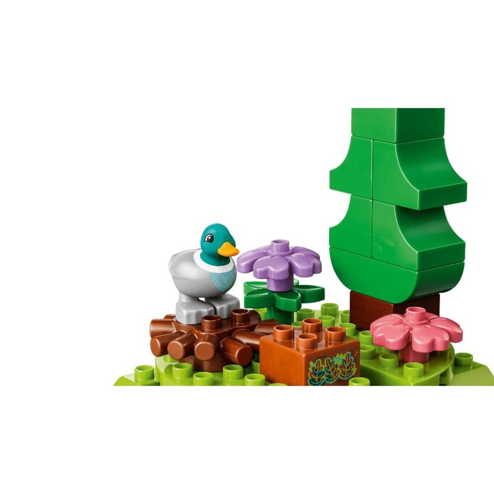 ［想樂］全新 樂高 LEGO 10480 DUPLO 得寶 森林與野生動物探索套裝-細節圖6