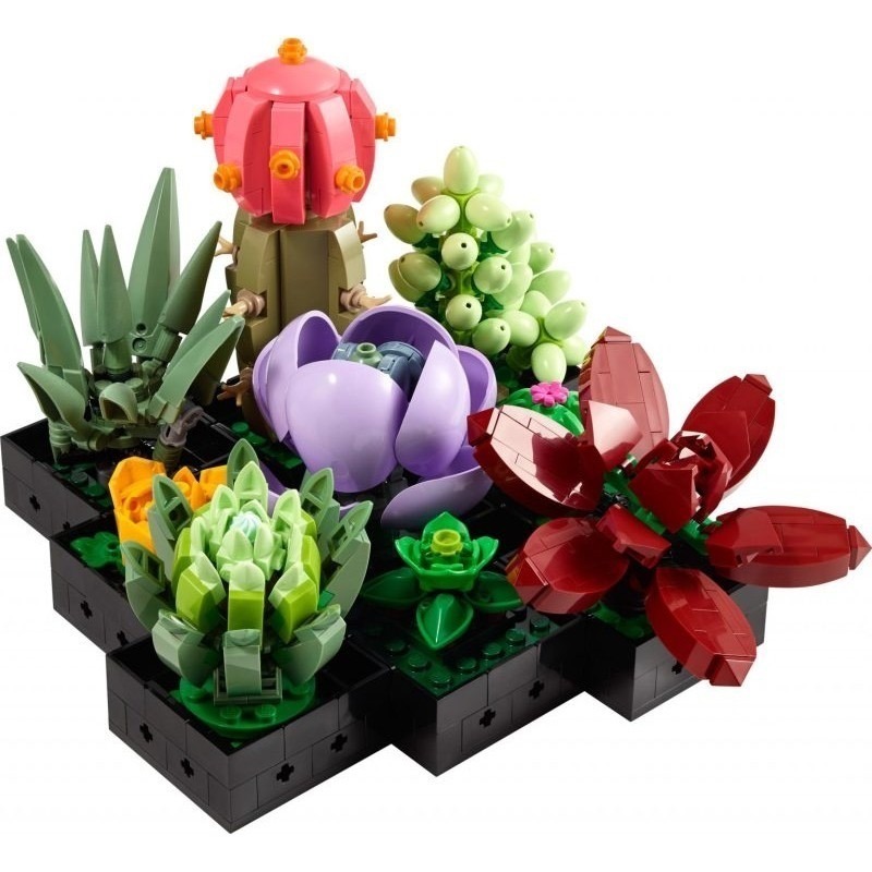 LEGO 10309 多肉植物 Botanical Collection Succulens Ideas-細節圖3