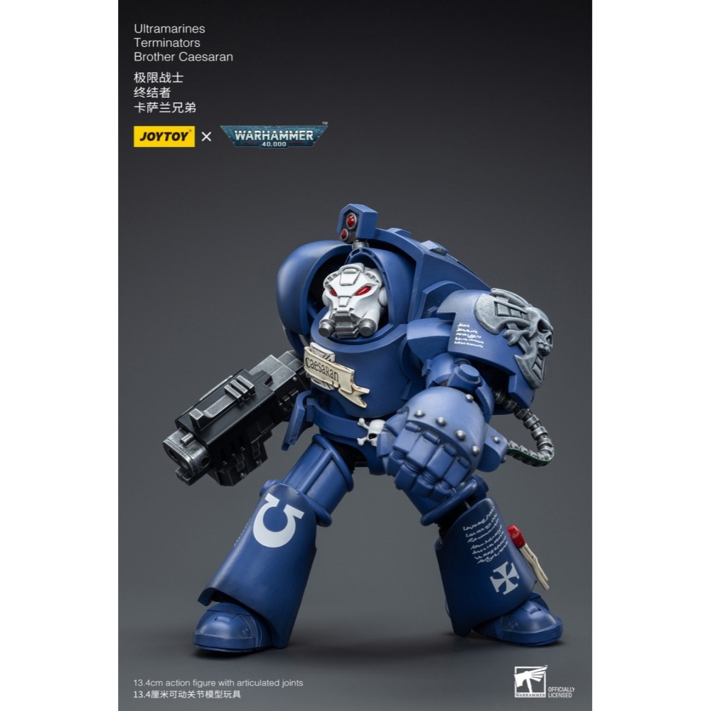 暗源Joy Toy 1/18 戰鎚40K 終結者 卡薩蘭兄弟Terminators Brother Caesaran-細節圖2