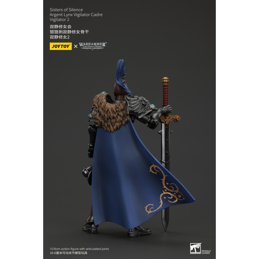 暗源Joy Toy 1/18 荷魯斯之亂30K 寂靜修女會 銀猞猁寂靜修女骨幹 寂靜修女2-細節圖5