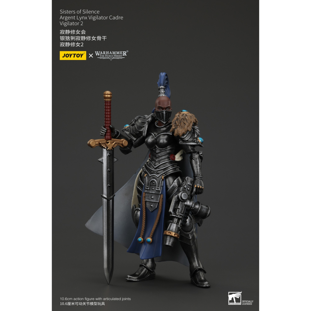 暗源Joy Toy 1/18 荷魯斯之亂30K 寂靜修女會 銀猞猁寂靜修女骨幹 寂靜修女2-細節圖6