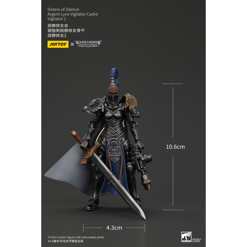 暗源Joy Toy 1/18 荷魯斯之亂30K 寂靜修女會 銀猞猁寂靜修女骨幹 寂靜修女2-細節圖9