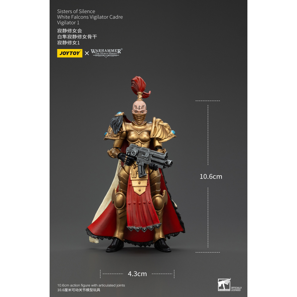 暗源Joy Toy 1/18 荷魯斯之亂30K 寂靜修女會 白隼寂靜修女骨幹 寂靜修女1-細節圖8
