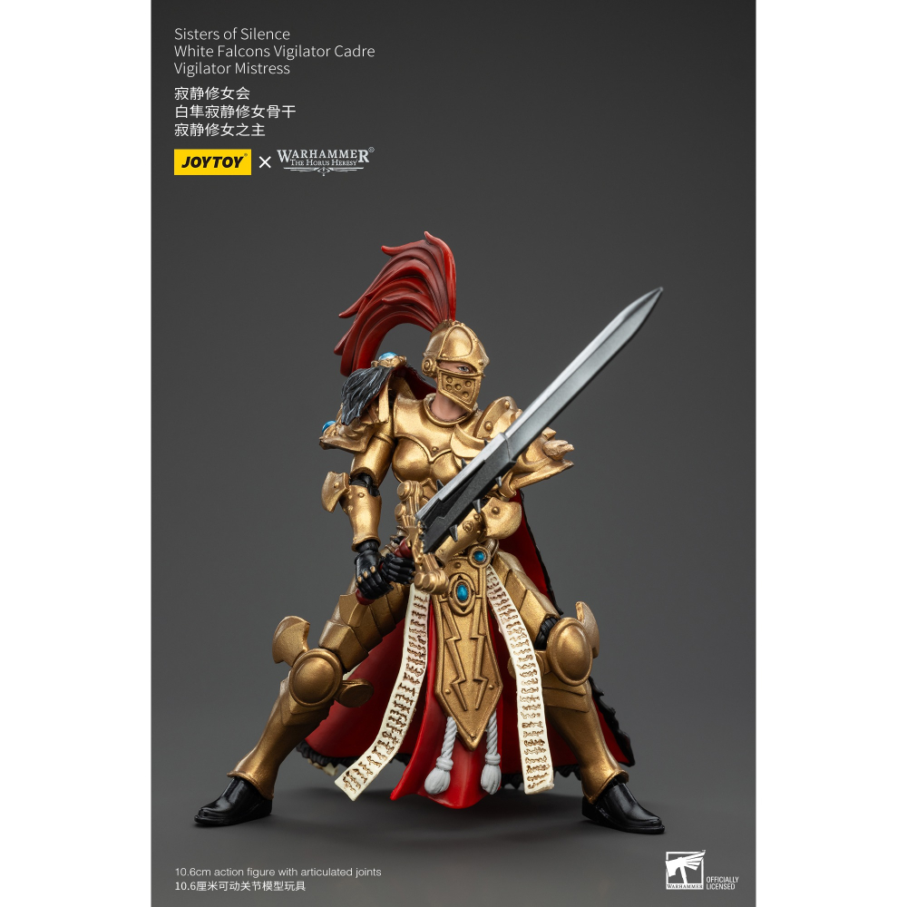 暗源Joy Toy 1/18 荷魯斯之亂30K 寂靜修女會 白隼寂靜修女骨幹 寂靜修女之主-細節圖2