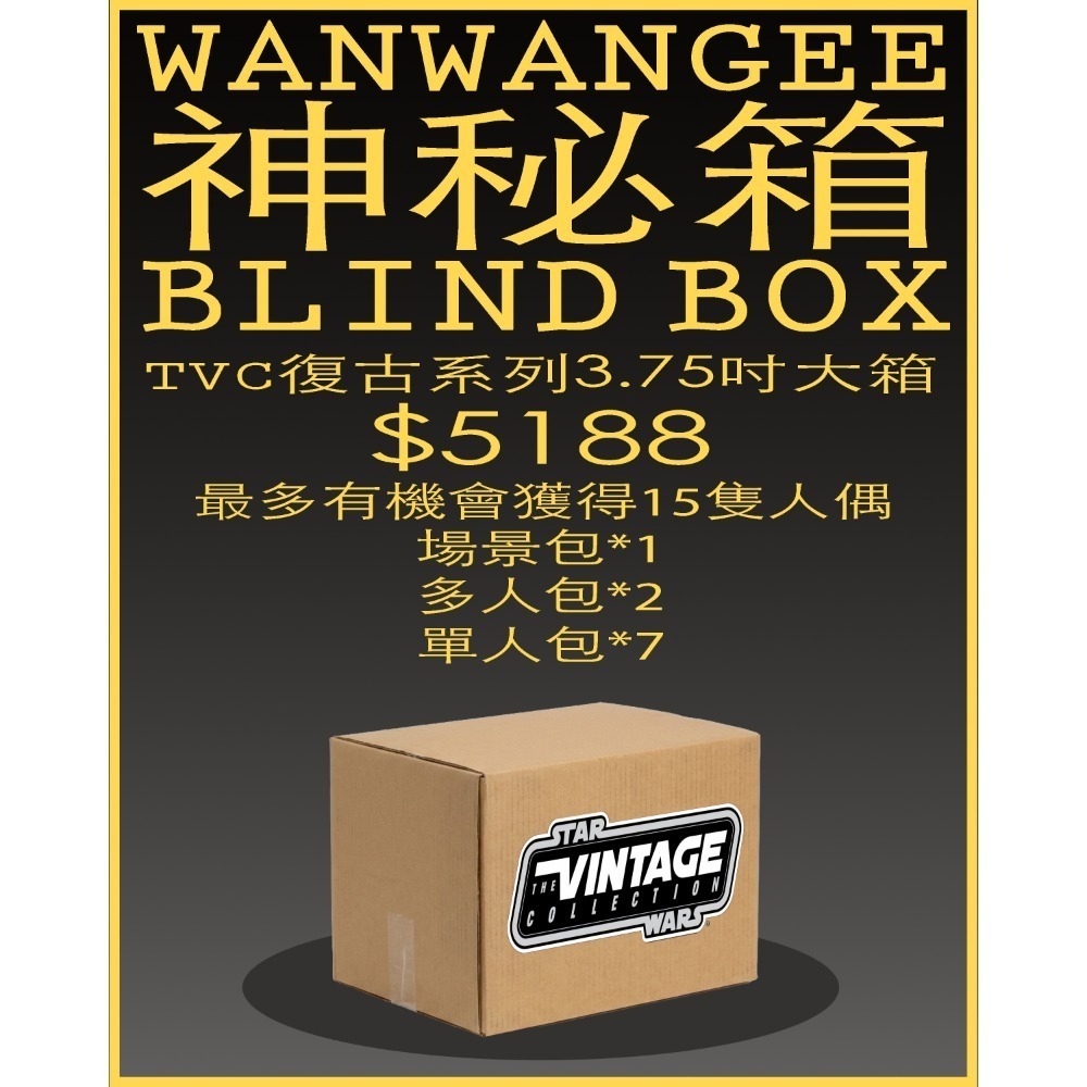 星際大戰TVC 3.75吋(大)