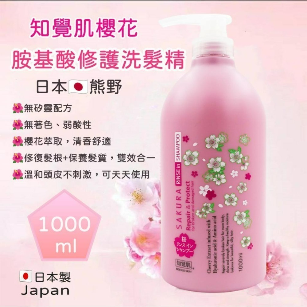 🔥現貨🔥日本熊野知覺肌 櫻花限定 洗髮精/沐浴乳 1000ml   沙龍級修護洗髮精 玻尿酸沐浴乳 無磁靈洗髮精-細節圖2