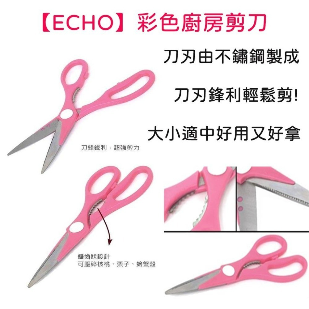 《小孩。同》現貨/日本【ECHO】彩色廚房剪刀 3色可選 食物料理剪 食物剪刀  不鏽鋼剪刀-細節圖3
