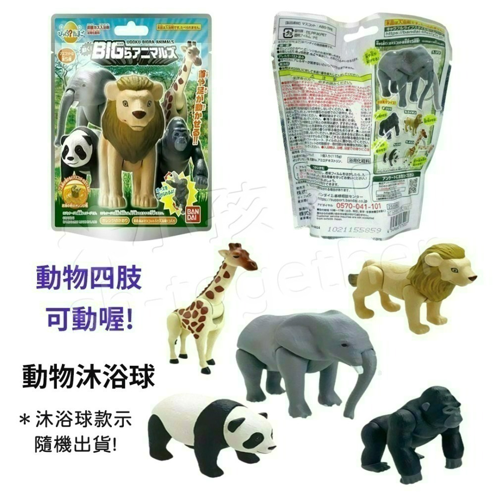 《小孩。同》現貨 日本 動物沐浴球 泡澡球 海豚 可動公仔 大人圖鑑狗狗 貓咪 發光酷炫極寒動物 海洋生物-細節圖2