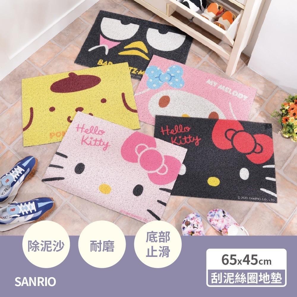 現貨正版 三麗鷗 刮泥絲圈地墊 Hello kitty 地墊 美樂蒂 酷企鵝 絲圈地墊 布丁狗 廚房 玄關墊 止滑地墊-細節圖2