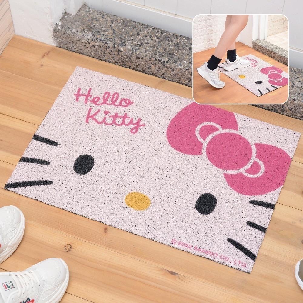 現貨正版 三麗鷗 刮泥絲圈地墊 Hello kitty 地墊 美樂蒂 酷企鵝 絲圈地墊 布丁狗 廚房 玄關墊 止滑地墊-細節圖3