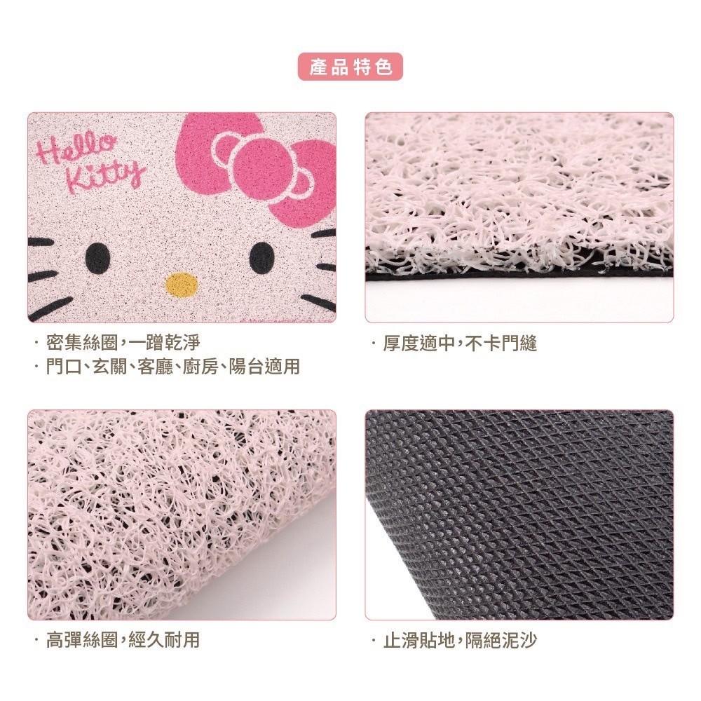 現貨正版 三麗鷗 刮泥絲圈地墊 Hello kitty 地墊 美樂蒂 酷企鵝 絲圈地墊 布丁狗 廚房 玄關墊 止滑地墊-細節圖4