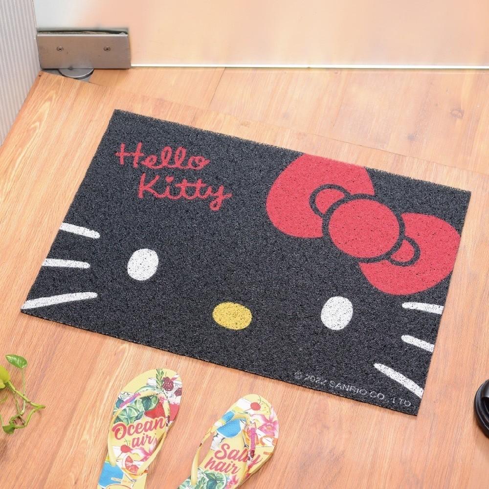 現貨正版 三麗鷗 刮泥絲圈地墊 Hello kitty 地墊 美樂蒂 酷企鵝 絲圈地墊 布丁狗 廚房 玄關墊 止滑地墊-細節圖5