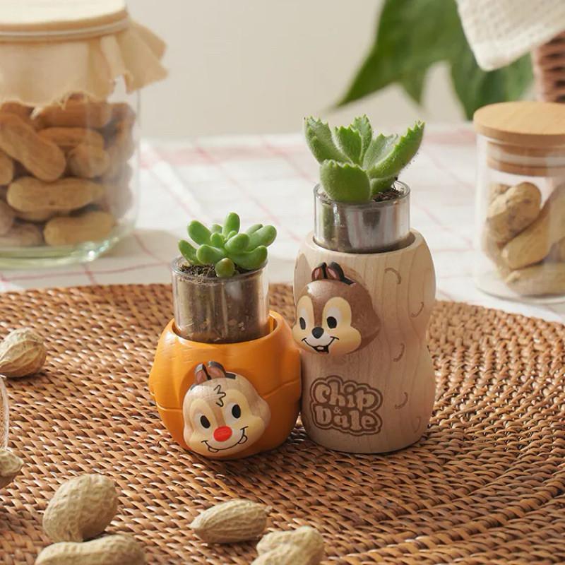 現貨正版 奇奇蒂蒂 盆器 多肉盆栽罐 迪士尼盆器Disney 1251053 盆栽裝飾器 植栽罐 禮物 辦公室小物 交換-細節圖2