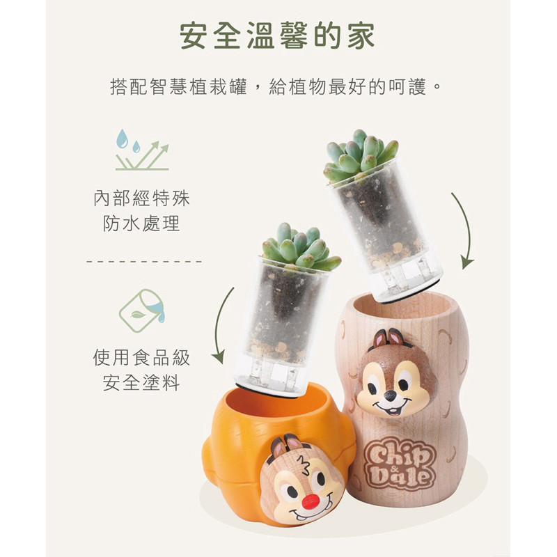 現貨正版 奇奇蒂蒂 盆器 多肉盆栽罐 迪士尼盆器Disney 1251053 盆栽裝飾器 植栽罐 禮物 辦公室小物 交換-細節圖8