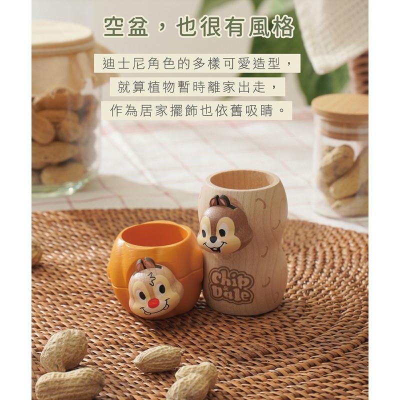 現貨正版 奇奇蒂蒂 盆器 多肉盆栽罐 迪士尼盆器Disney 1251053 盆栽裝飾器 植栽罐 禮物 辦公室小物 交換-細節圖9