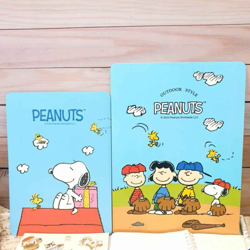 現貨正版 史努比 墊板 卡通墊板  A4墊板 B5墊板 Snoopy 好好寫墊板 胡士托 九九乘法表 16K墊板 隔板-細節圖2