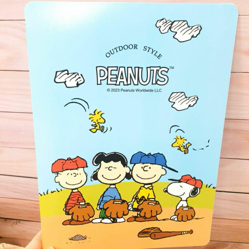 現貨正版 史努比 墊板 卡通墊板  A4墊板 B5墊板 Snoopy 好好寫墊板 胡士托 九九乘法表 16K墊板 隔板-細節圖5