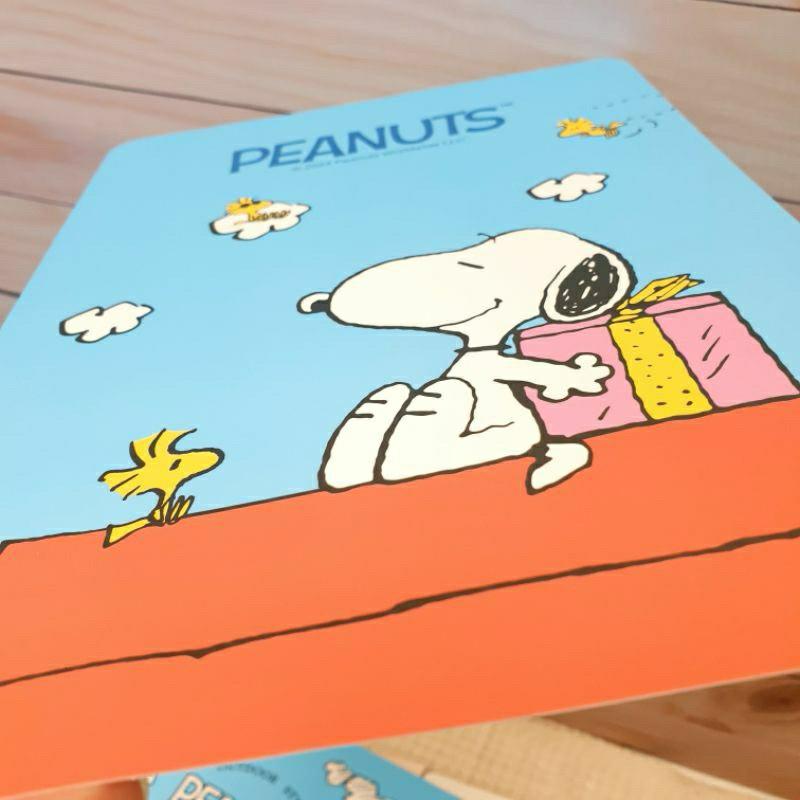 現貨正版 史努比 墊板 卡通墊板  A4墊板 B5墊板 Snoopy 好好寫墊板 胡士托 九九乘法表 16K墊板 隔板-細節圖7