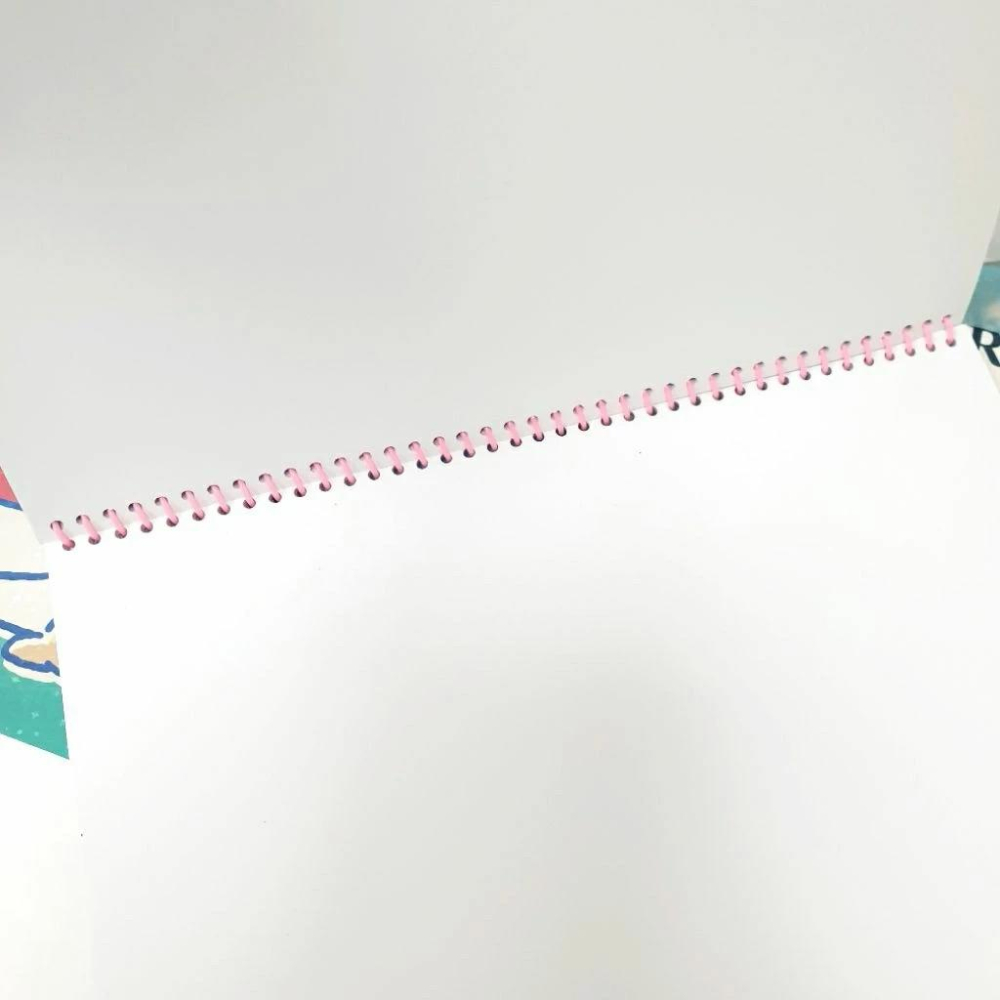 現貨正版 三麗鷗 13k畫冊 圖畫本 酷洛米 大耳狗 美樂蒂 帕帢狗 剪貼畫冊 塗鴉本 空白圖畫紙 塑貼簿 台灣製-細節圖6