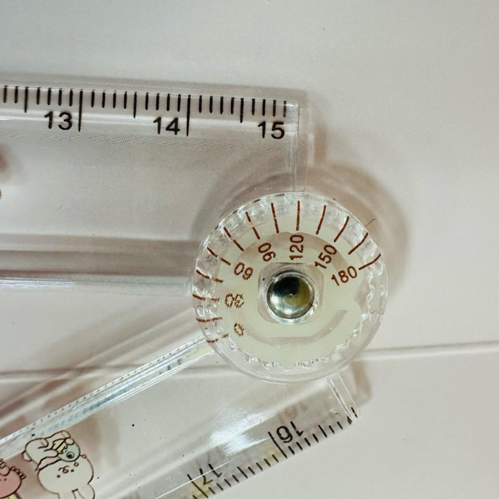 現貨正版 卡皮巴拉 30cm折疊尺 水豚 折疊尺 30公分尺 量角度尺 文具 尺 台灣製-細節圖6