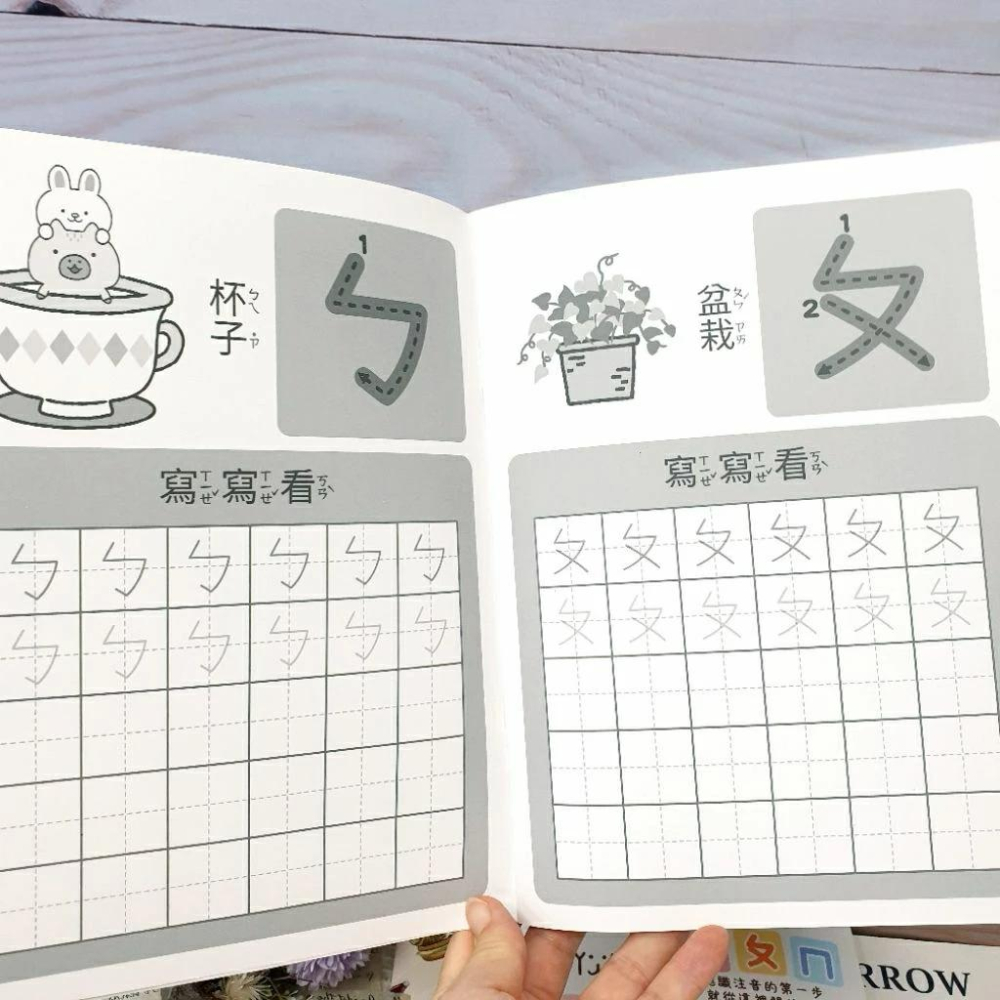 現貨正版 卡皮巴拉 注音練習本 16k ㄅㄆㄇ學習本 水豚 幼兒基礎 學齡前運筆練習本 認識注音 台灣製-細節圖7