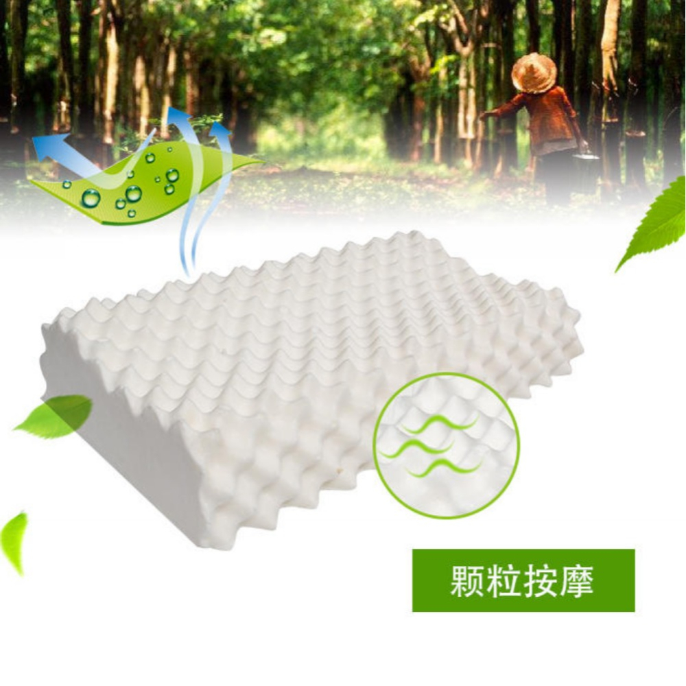 工學式乳膠枕 頸部支撐型乳膠枕 M型乳膠枕頭 100%天然乳膠 1顆裝【簡單生活館】-細節圖3