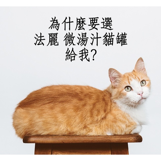 法麗     貓副食罐-細節圖3