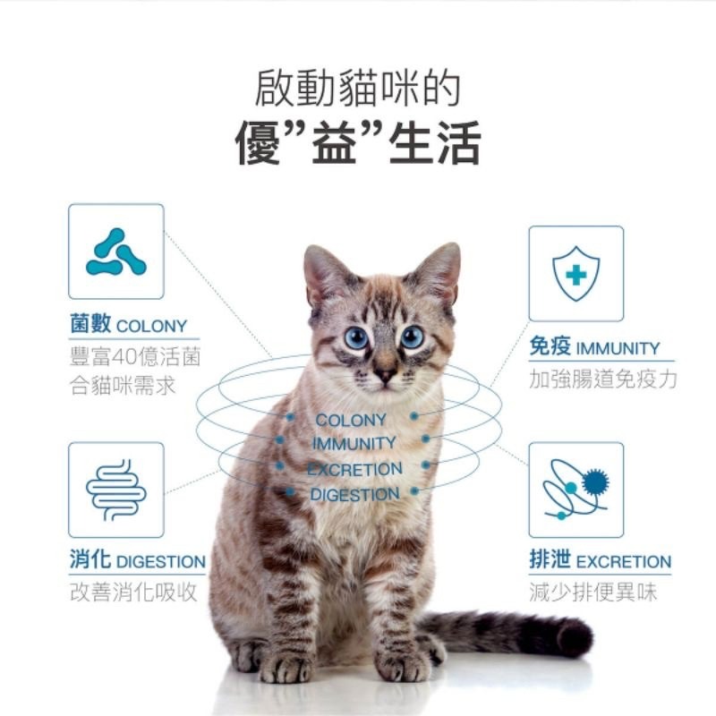 【Blue Cat】現貨 MORESON 木入森 貓咪活菌寶 木入森活箘寶 木入森益生菌 2g-15入/30入-細節圖5