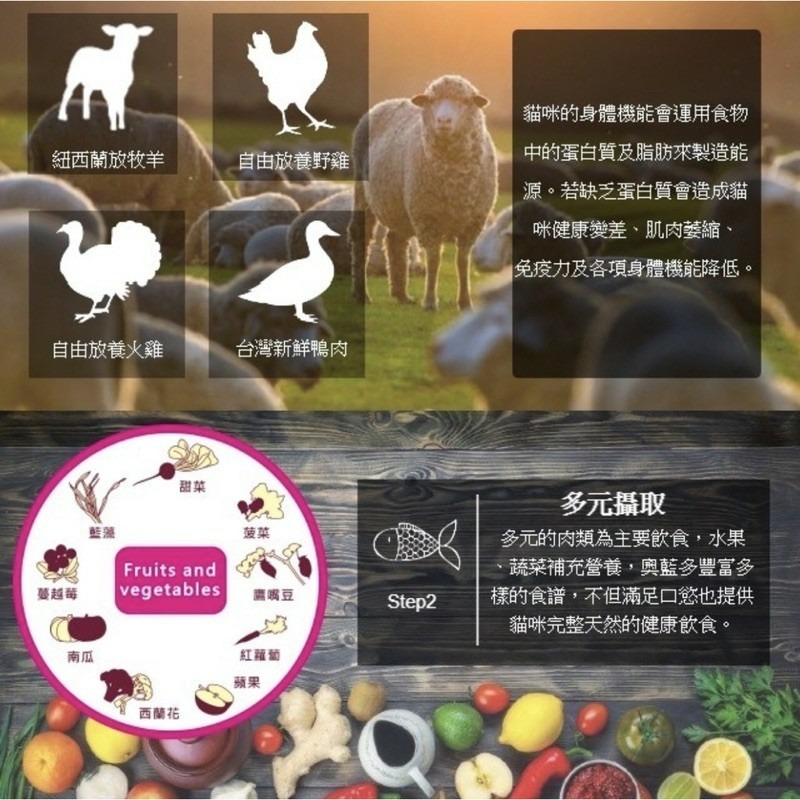 【Blue Cat】 奧藍多Allando 奧蘭多 天然無穀鮮貓糧 貓飼料 無穀貓飼料 天然貓飼料 無穀貓糧 天然貓糧-細節圖6