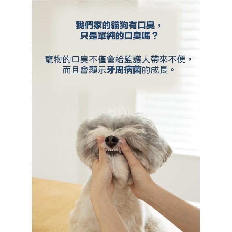 【Blue Cat】🔥火速出貨🔥 朝貢口日新（寵物專用）30g 犬貓適用 口腔保健 抑制口臭-細節圖6