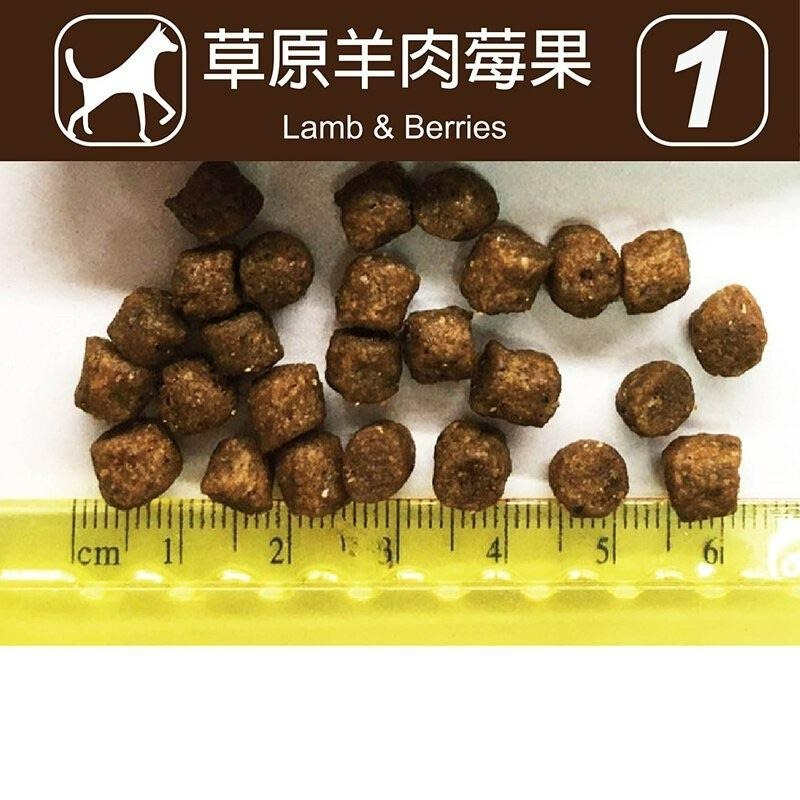 【Blue Cat】🔥火速🔥荒野饗宴之與狼共舞 Dance With Wolf 無穀犬糧 草原羊肉/雞肉蘋果/-細節圖2