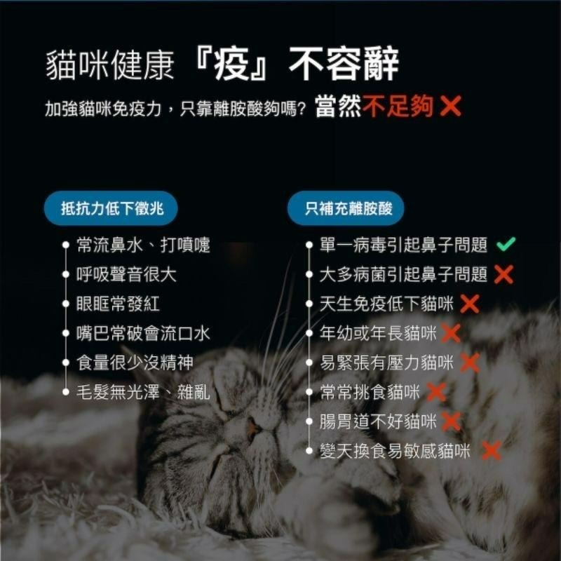 【Blue Cat】🔥火速🔥 MORESON木入森 貓咪護疫升 離胺酸 乳鐵蛋白 β-葡聚糖 牛磺酸 蝦紅素 紫錐花-細節圖3