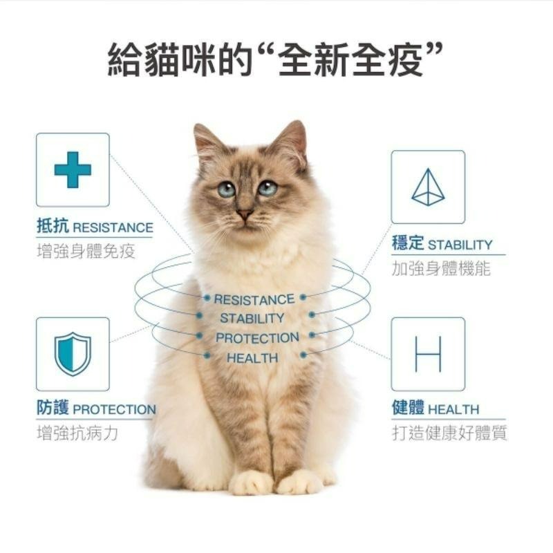【Blue Cat】🔥火速🔥 MORESON木入森 貓咪護疫升 離胺酸 乳鐵蛋白 β-葡聚糖 牛磺酸 蝦紅素 紫錐花-細節圖5