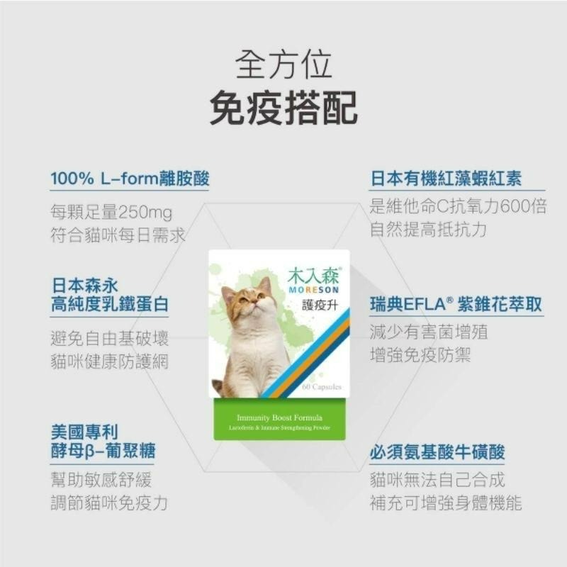 【Blue Cat】🔥火速🔥 MORESON木入森 貓咪護疫升 離胺酸 乳鐵蛋白 β-葡聚糖 牛磺酸 蝦紅素 紫錐花-細節圖7