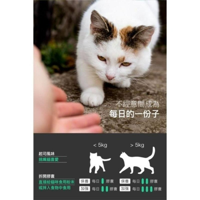 【Blue Cat】🔥火速🔥 MORESON木入森 貓咪護疫升 離胺酸 乳鐵蛋白 β-葡聚糖 牛磺酸 蝦紅素 紫錐花-細節圖8